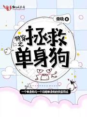 属羊对应的吉凶数字