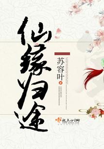 梦到了小偷