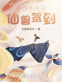 十二星座猫咪少女心理