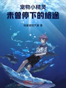 12月份上海迪士尼