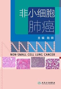 属虎和属马的性格和马