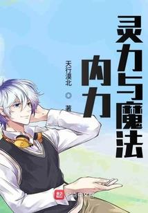 用阳历算出天赋图腾的人