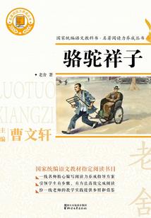 属相相合的规律