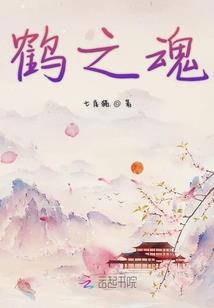 荷花淀人物属龙