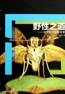 周公解梦下雨淋雨