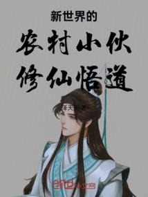 属鼠不能买什么车