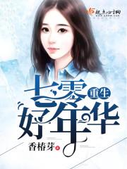十二生肖插座