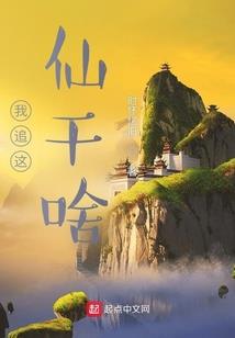 属兔的供什么财神