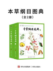 属龙的人不宜跟什么