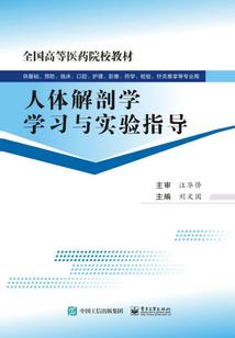男人尿道刺痛怎么办