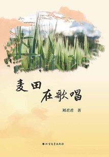 财运连连挂件挂在哪