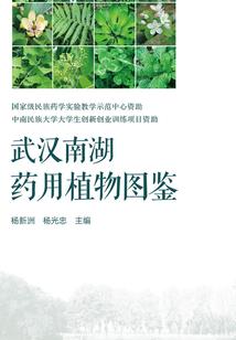 男人爱婆婆