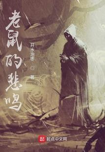 戴石风水什么说