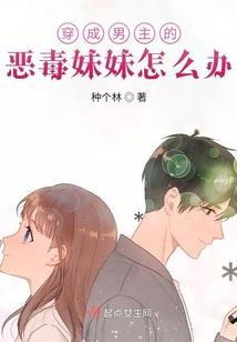 12生肖猫