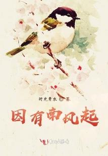 运气大小姐