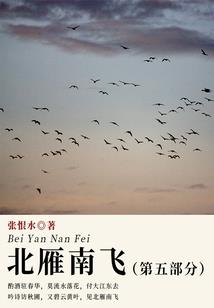 四川农历5月种啥菜最好