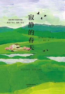 属虎与属虎的上级