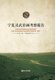 属龙找什么属性的