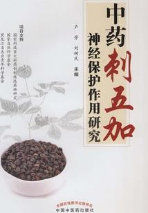 全息三维命理八字分析