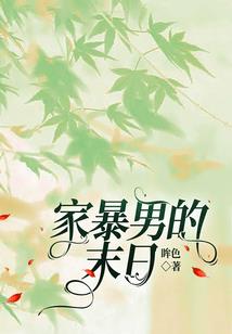 齐达内是运气