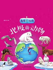属羊生肖纪念币