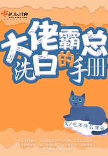 生肖冲的要注意什么