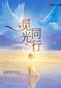 风流风水师小说