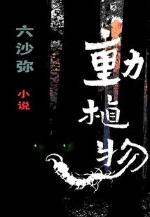属马和属马生日一个月