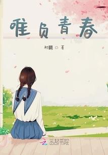 取名琴的含义