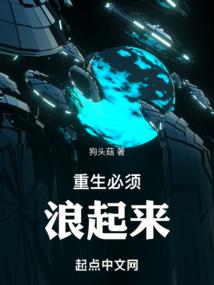 阶代表的生肖