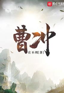 布偶猫怎么看八字大小