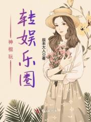 十八飞星含义