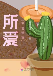 阴历阳历作文