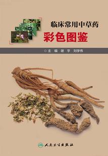 属牛生肖的手链