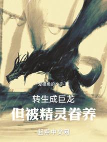 运势转盘壁纸