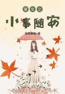 大运悦虎增程器