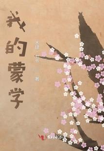 张家界投资公司起名