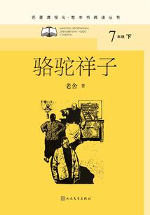 游击队小坡命运结果