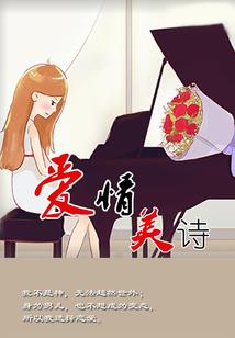 属猪用什么手机壳