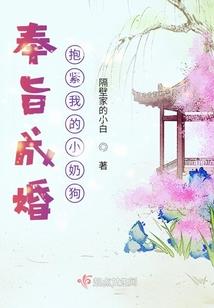 fw高达命运