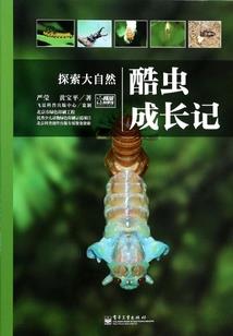 易经卦贴在照片上含义