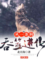 属龙的养龙猫好吗女孩