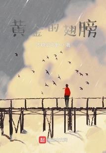 帝师讲运势属狗
