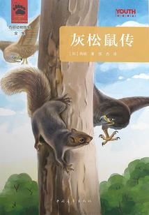 几月份找野蜂巢好
