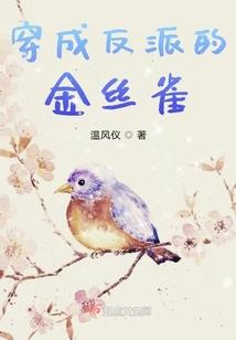 数字5695的寓意