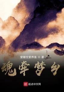 属兔和属马买几楼