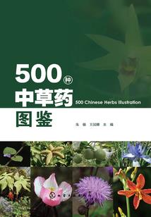 起名捧哏与逗哏