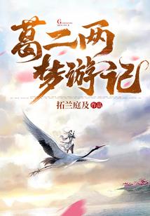 属猪男士适合摆件