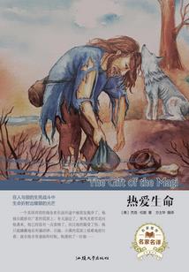 属猪男买什么花