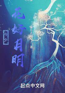 能提升公司的风水运势吗